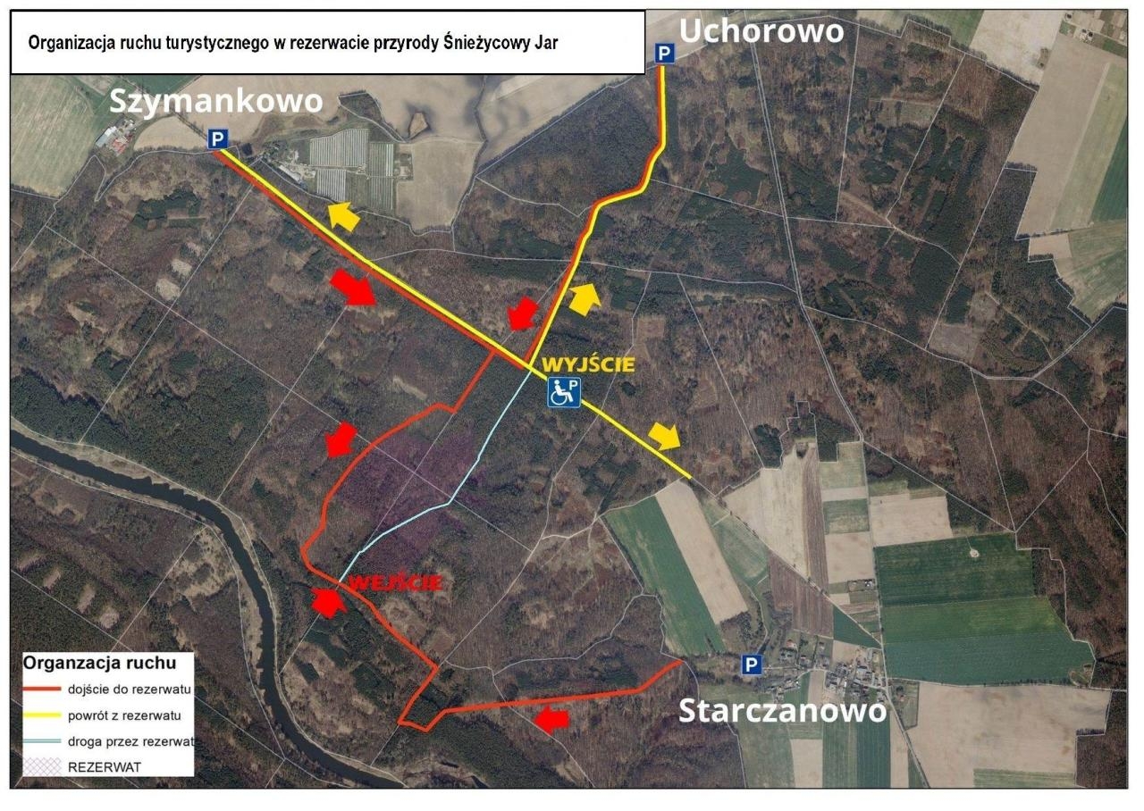 fot. Nadleśnictwa Łopuchówko