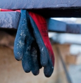 fot. Maciej Kopiński