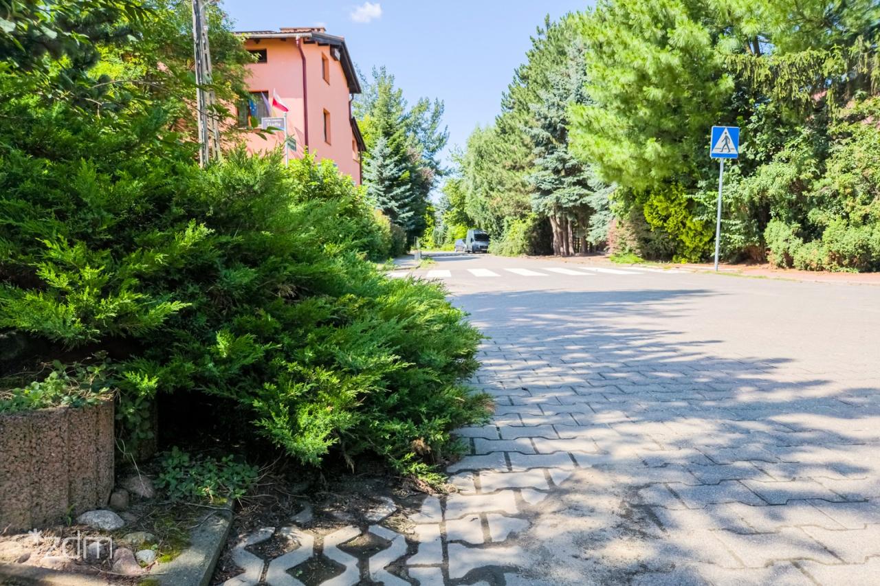 Miasto apeluje: posadziłeś zieleń przed płotem? To o nią dbaj