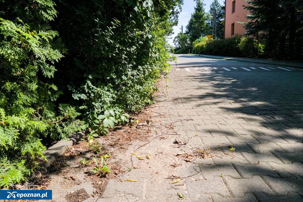 fot. Bartosz Jankowski / ZDM