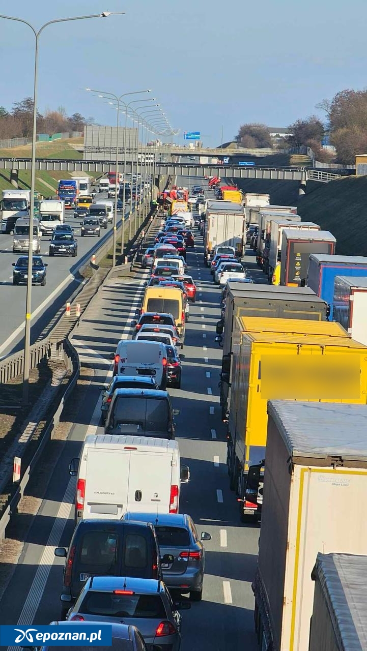 fot. wiescizokolicy.pl