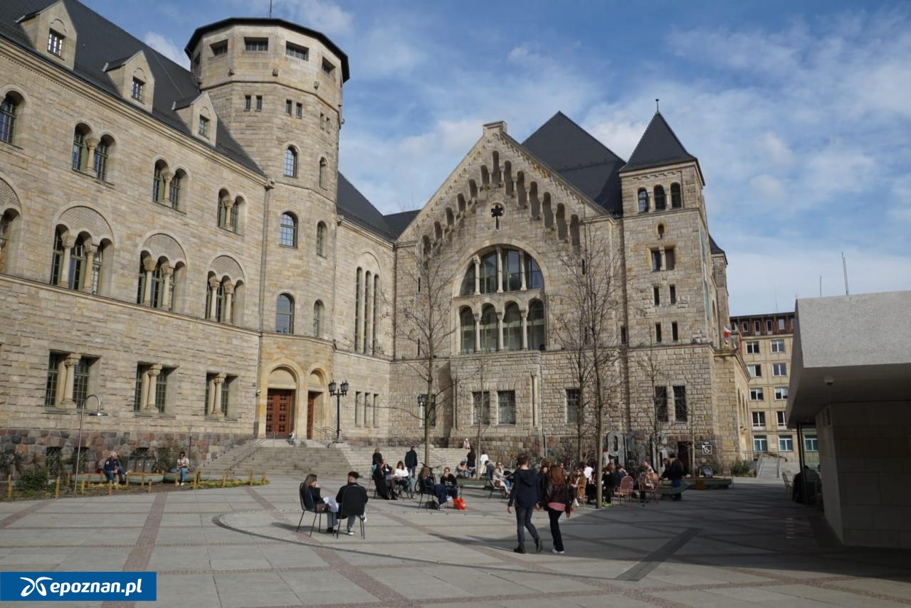 fot. Maciej Kopiński