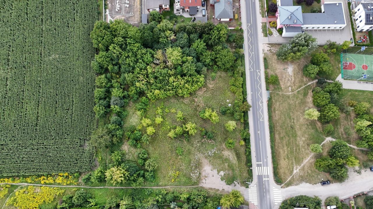 Duży projekt będzie realizowany pod Poznaniem. Powstaną tu miejsca nie tylko do rekreacji, ale też do handlu