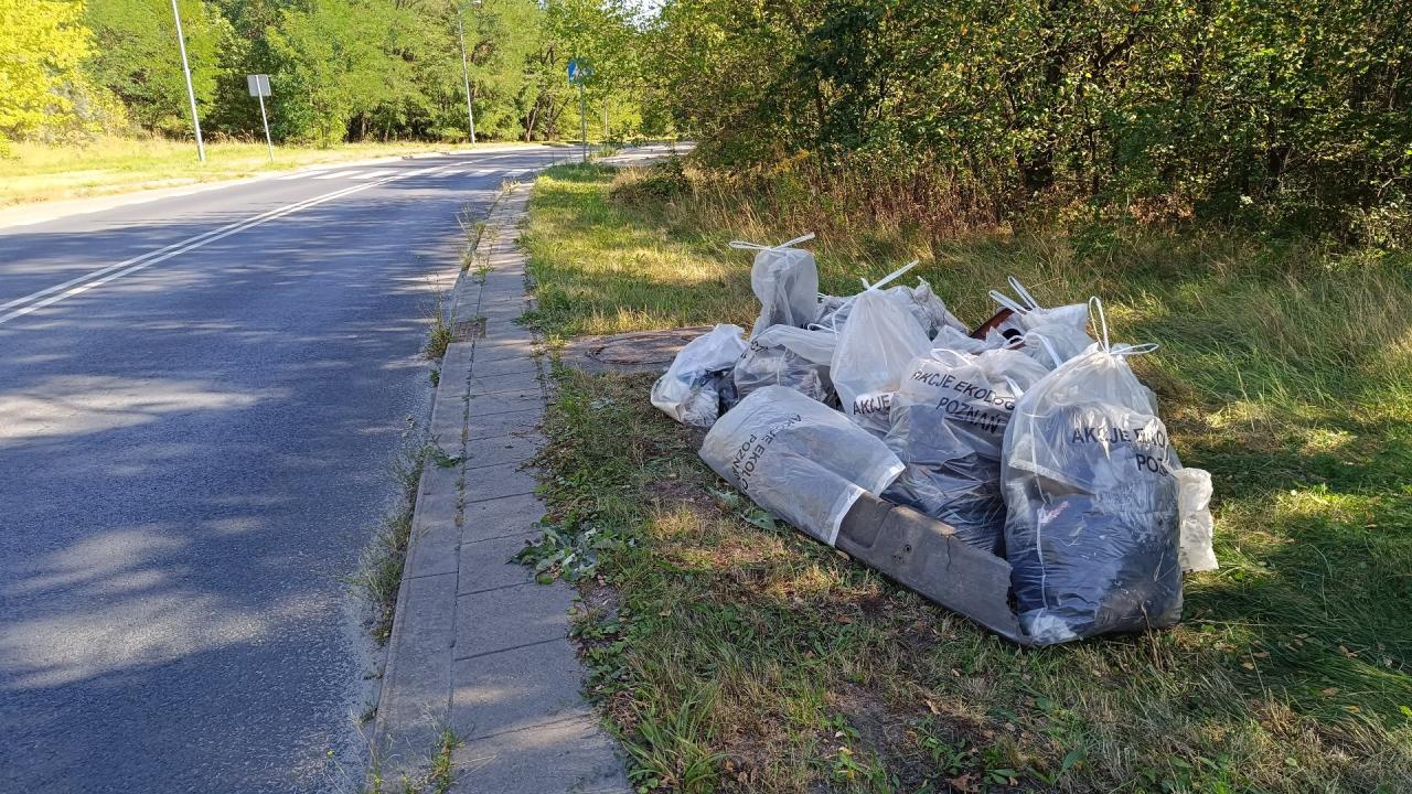 Wielkie wiosenne porządki niebawem w Poznaniu. Akcja potrwa dwa tygodnie