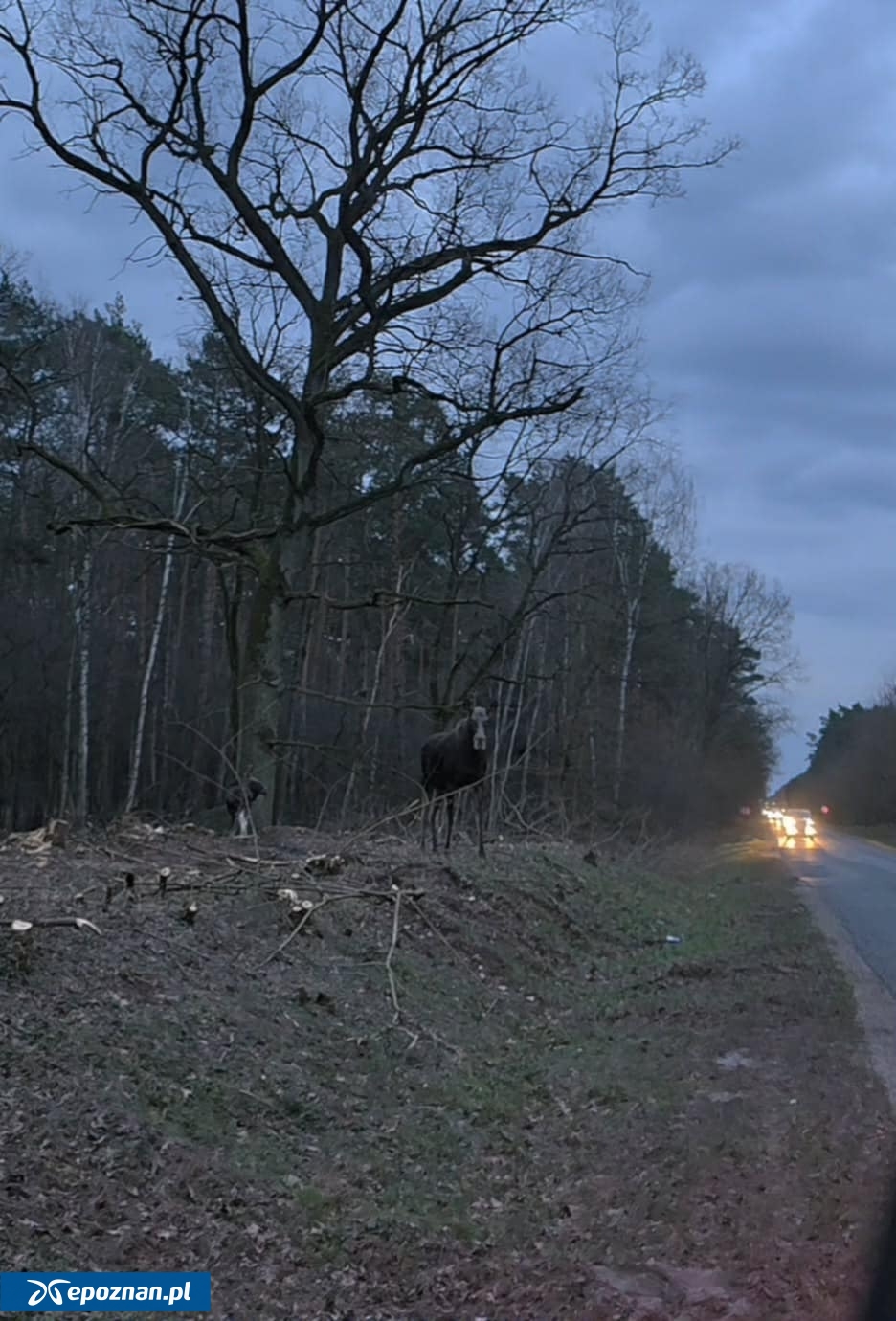 fot. Oliwia Węglarz