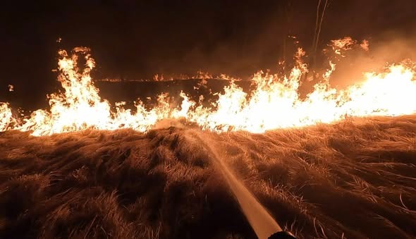 Policja apeluje w sprawie wypalania traw. "Ogień może wymknąć się spod kontroli."