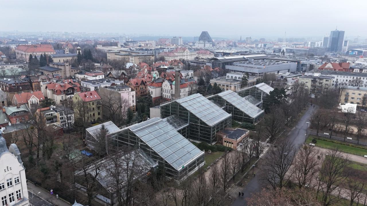 Jest drugi przetarg na przebudowę poznańskiej atrakcji