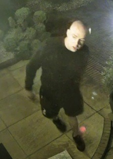 Wdarł się na prywatną posesję w Suchym Lesie. Poznajesz?