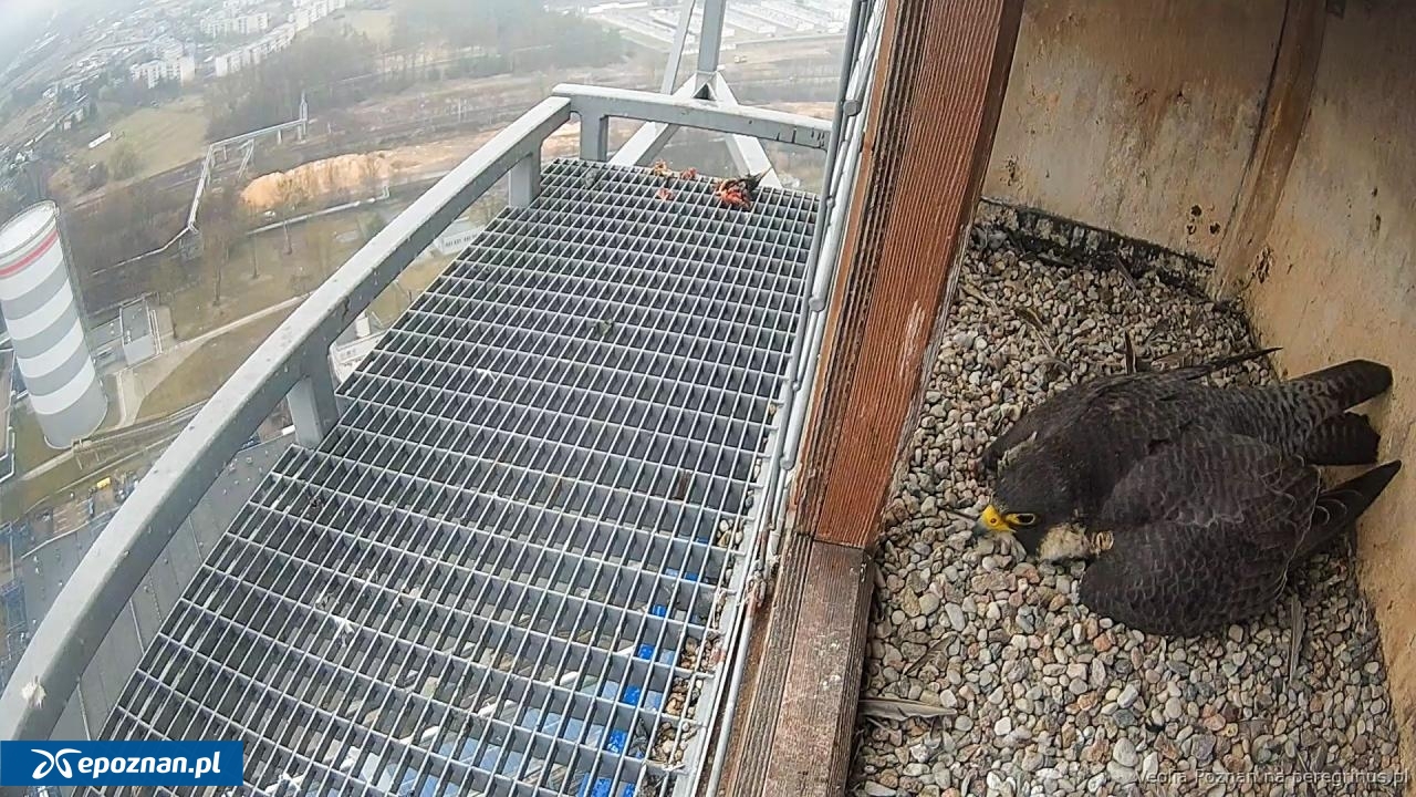 fot. Wielkopolska Energia / FB