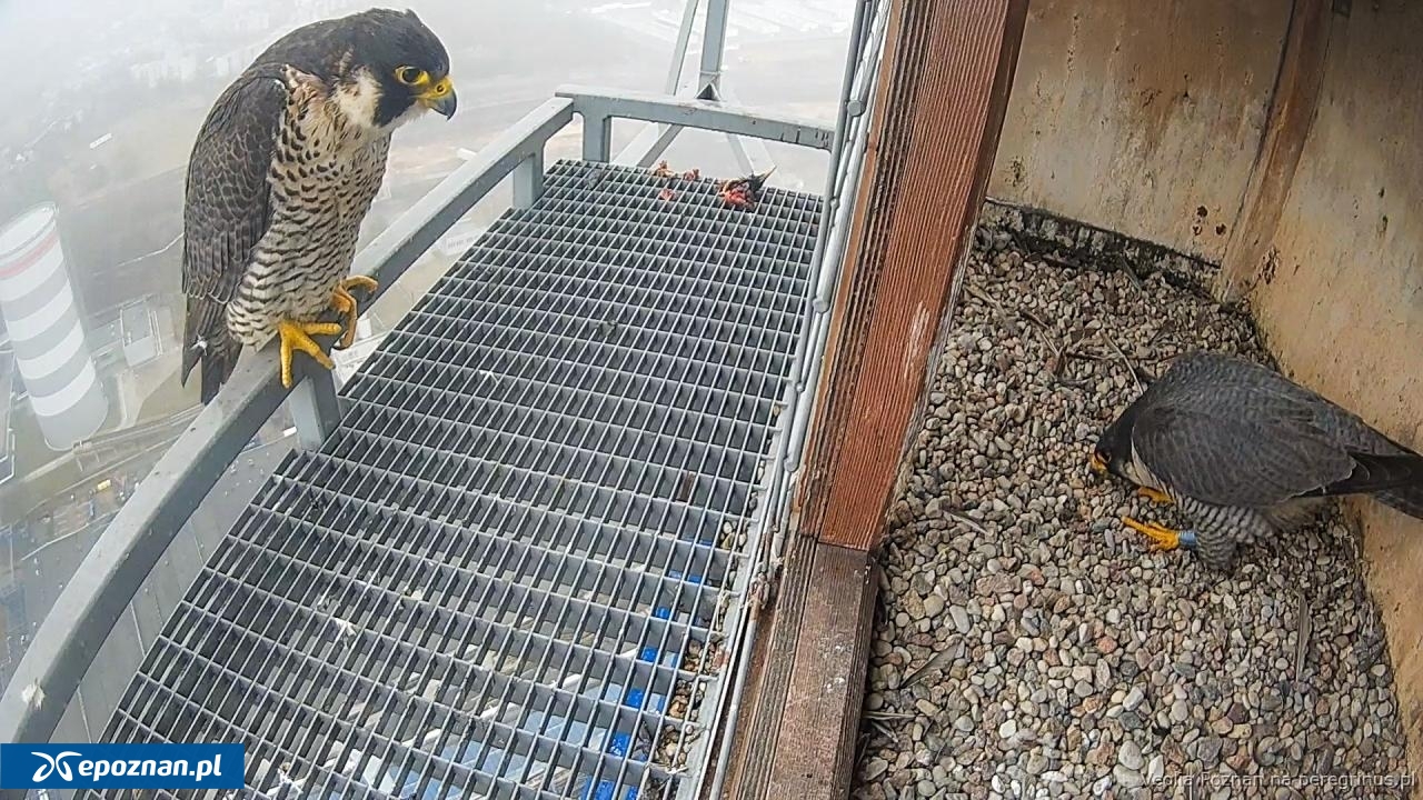 fot. Wielkopolska Energia / FB