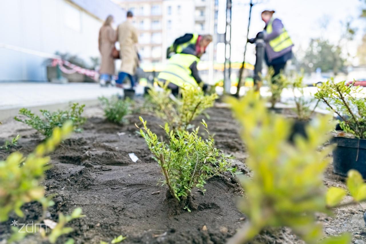 Kolejny remont zakończony. "Ten fragment Jeżyc będzie bardziej przyjazny dla mieszkańców"