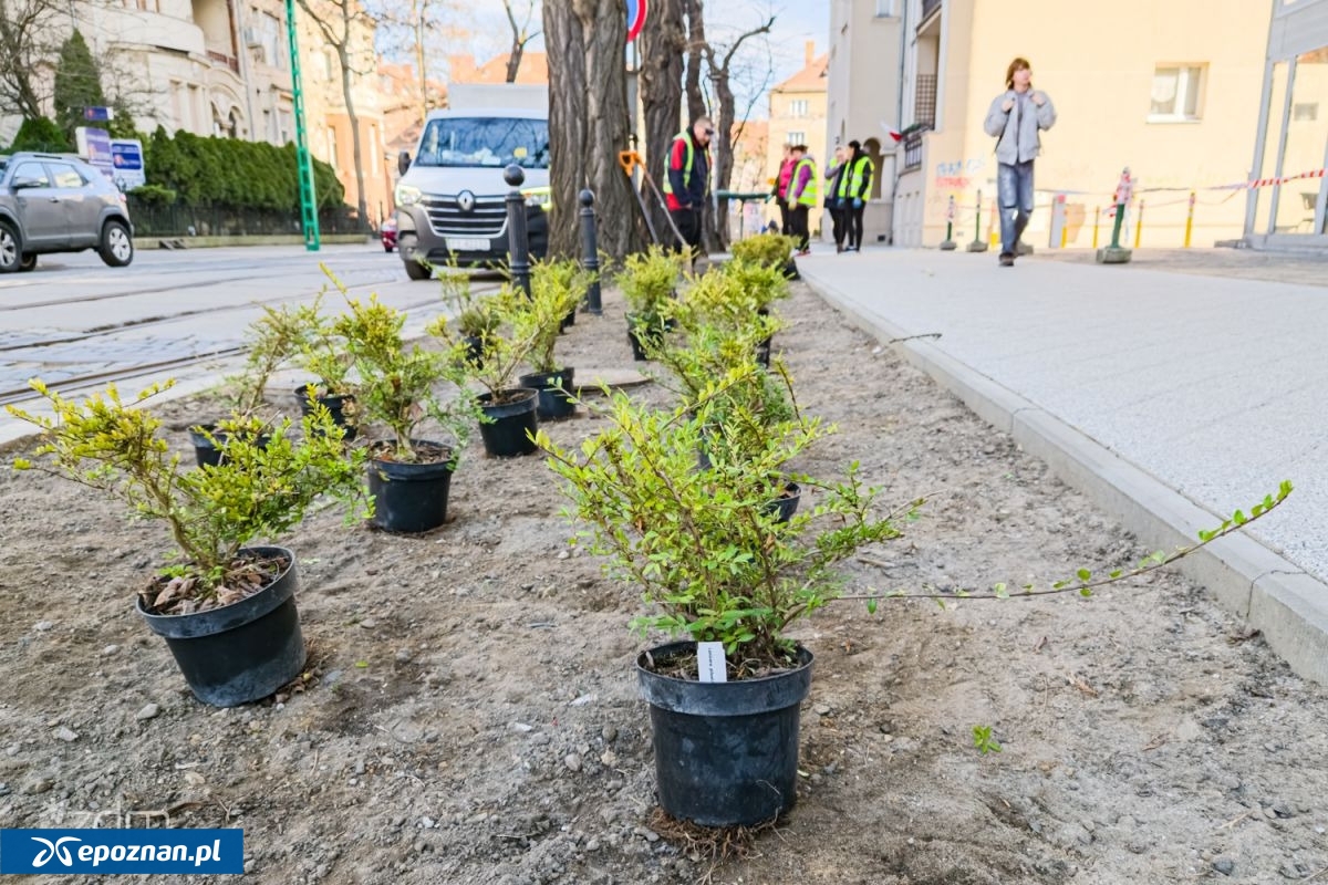 fot. Bartosz Jankowski / ZDM