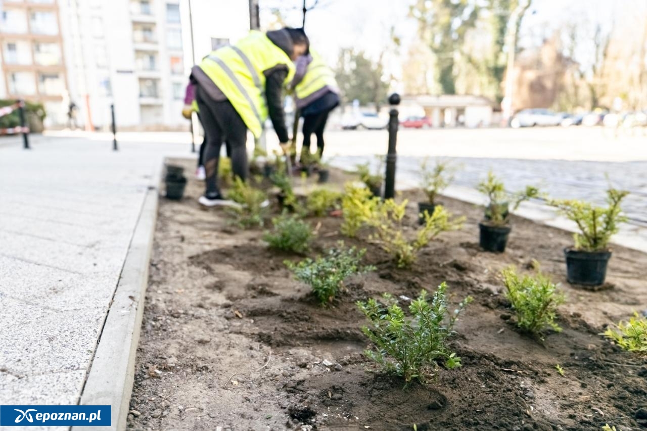 fot. Bartosz Jankowski / ZDM