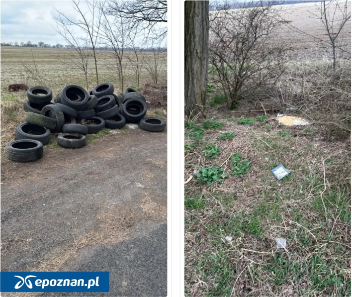 fot. Zgłaszający/SM-Nowe Miasto