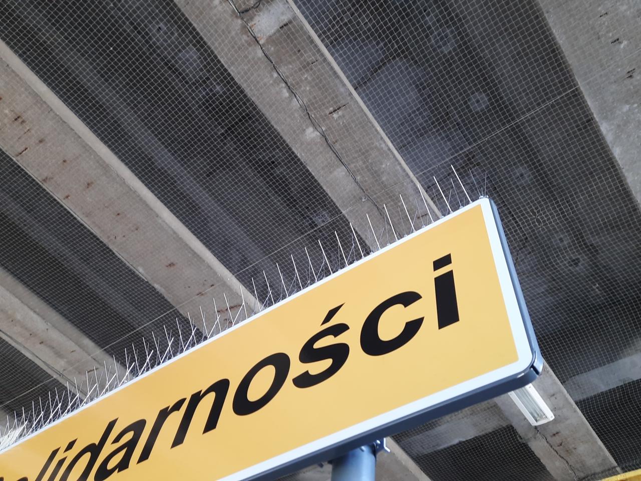 Ostre kolce odstraszają gołębie na PST? "Będą raniły skrzydlatych przyjaciół"