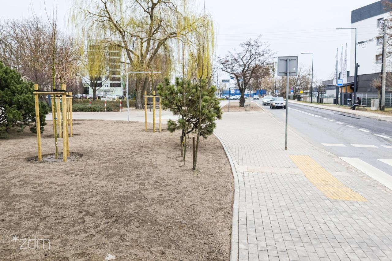 fot. Bartosz Jankowski / ZDM