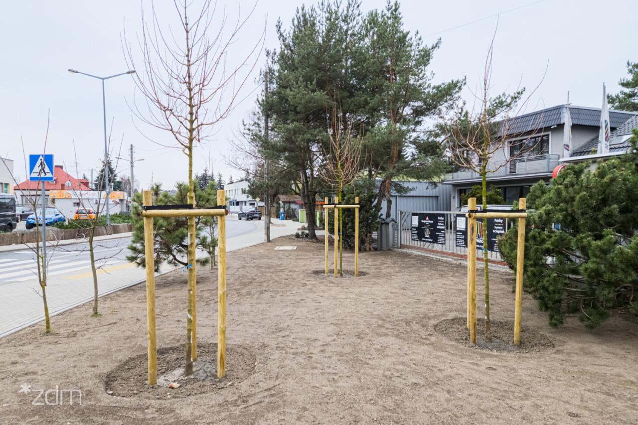 Inwestycja za ponad 700 tys. zł zakończona w Poznaniu. "Jeszcze w ubiegłym roku teren był rozjeżdżony przez samochody."