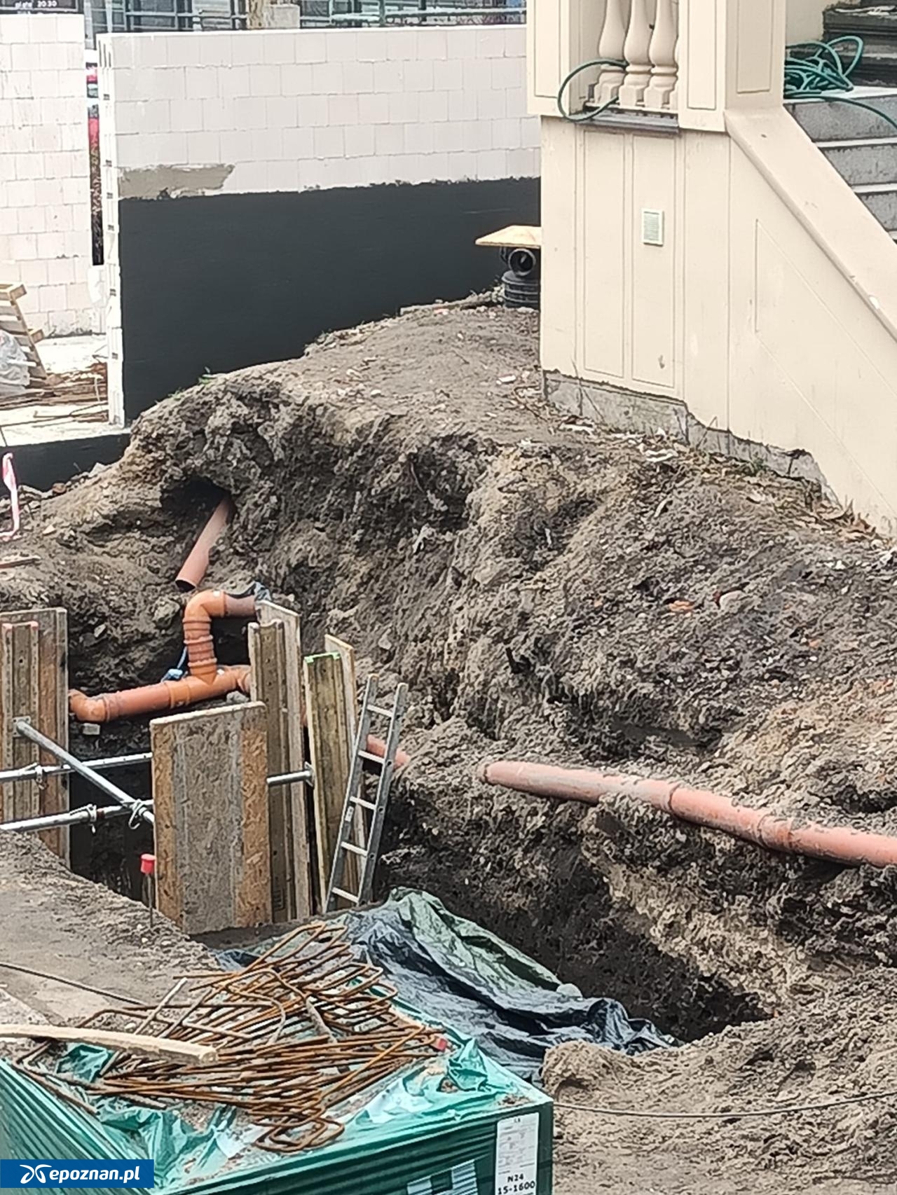 fot. Włodzimierz Hoppel