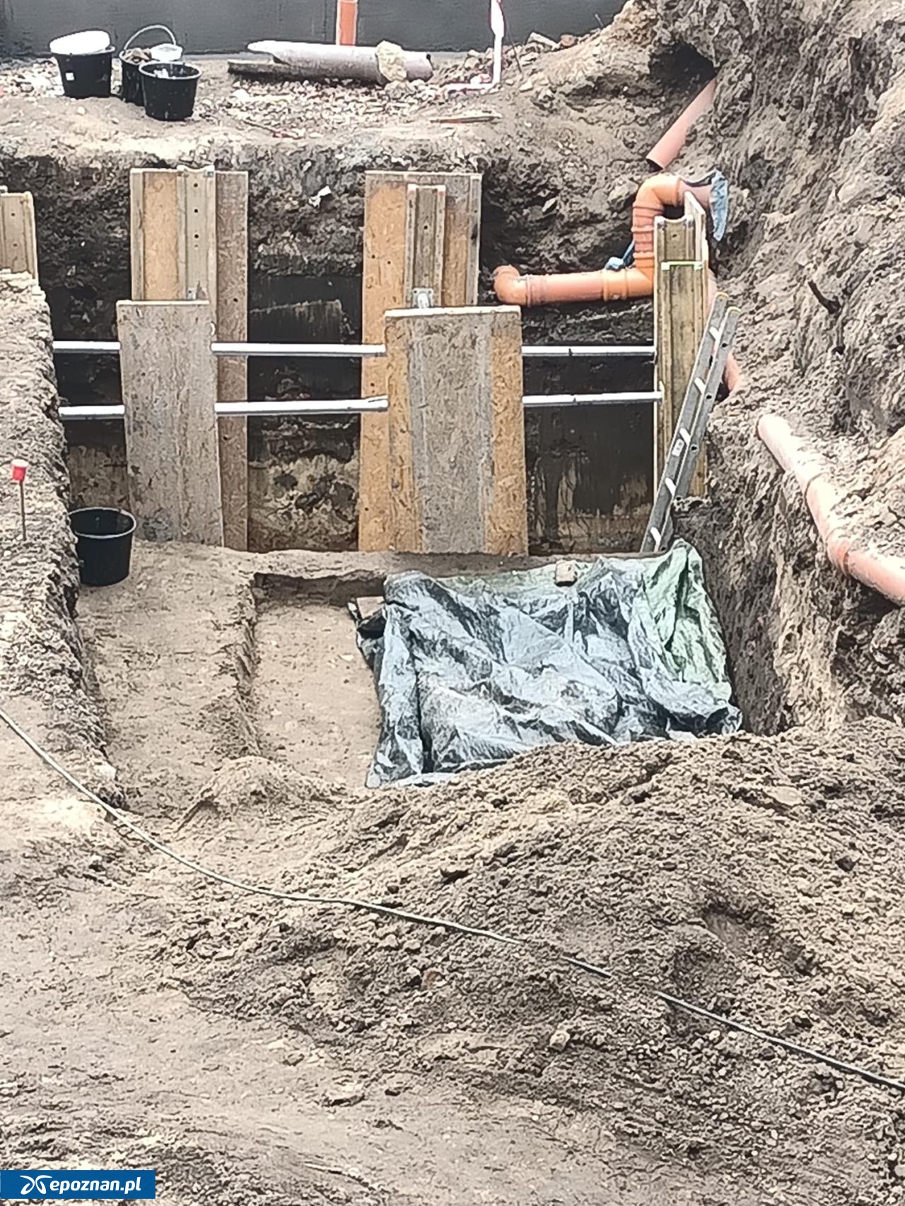 fot. Włodzimierz Hoppel