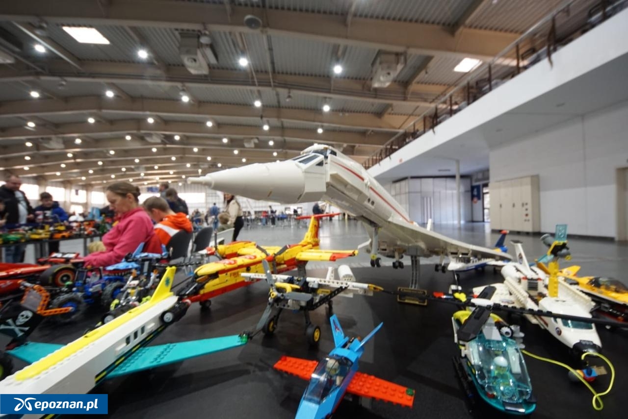 fot. Maciej Kopiński