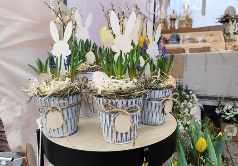 fot. Maciej Kopiński