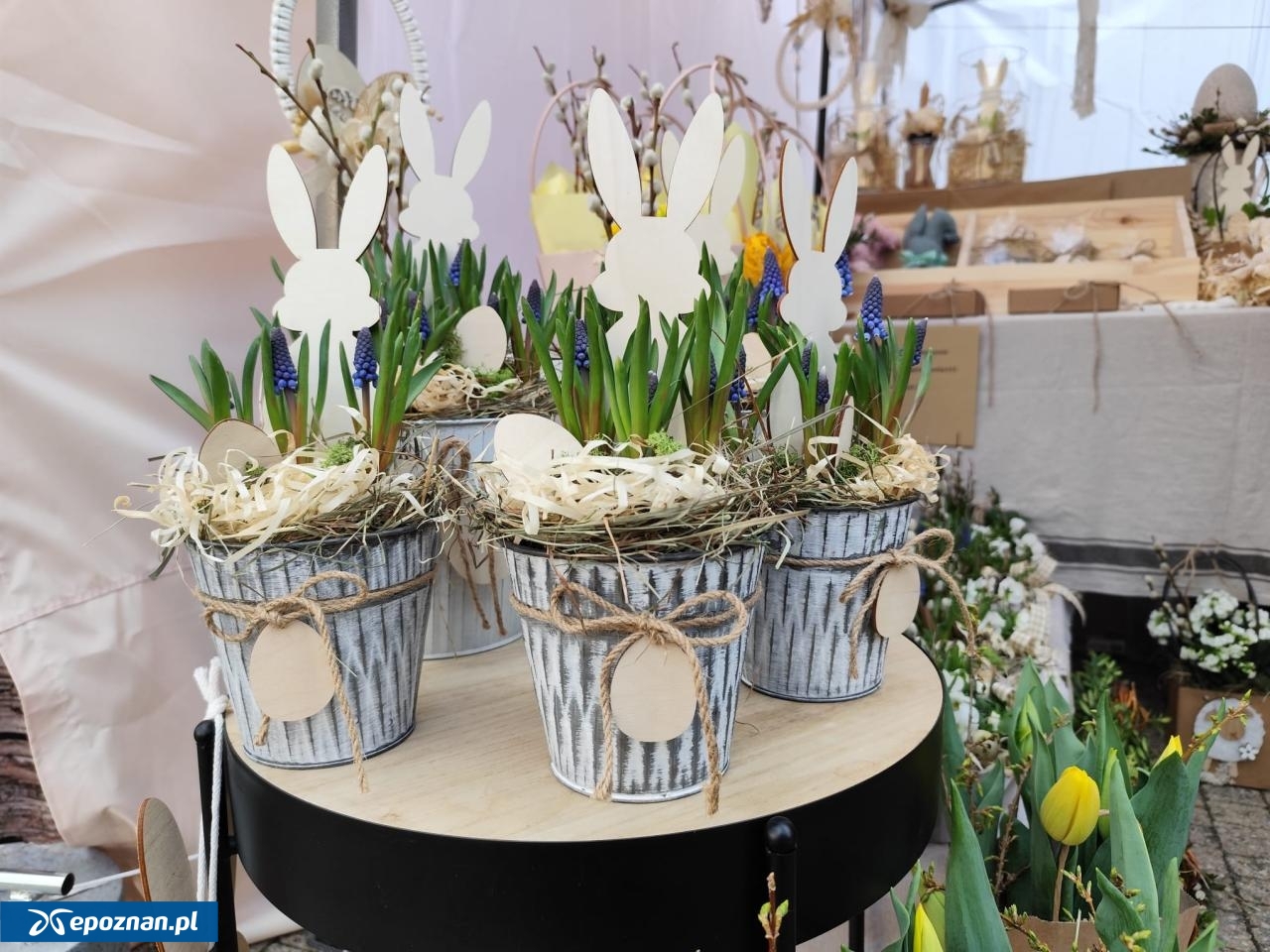 fot. Maciej Kopiński