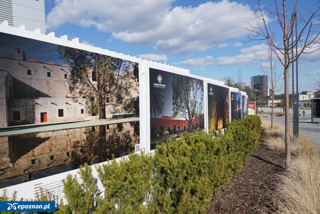 fot. Maciej Kopiński