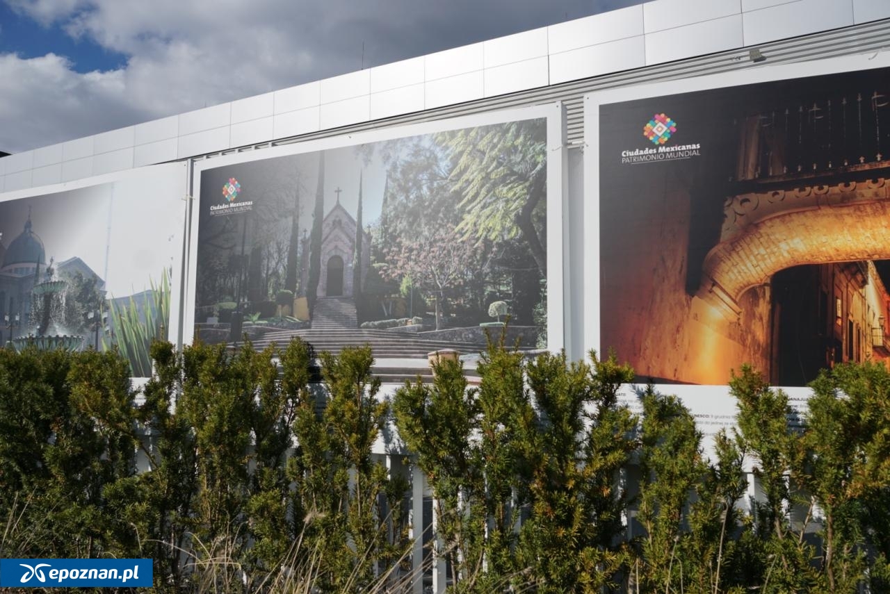 fot. Maciej Kopiński