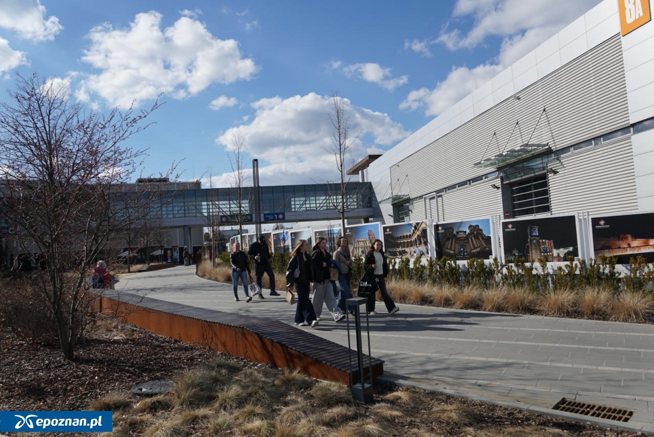 fot. Maciej Kopiński