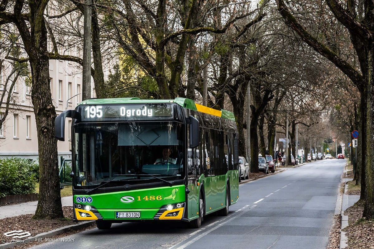 Pachnące nowością autobusy na ulicach Poznania