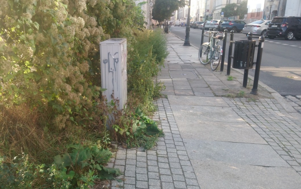 Właściciele budynków mieszkalnych i nieruchomości zapominają o ważnym obowiązku dotyczącym chodników