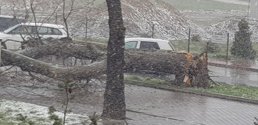 Jest ostrzeżenie meteo dla części Wielkopolski