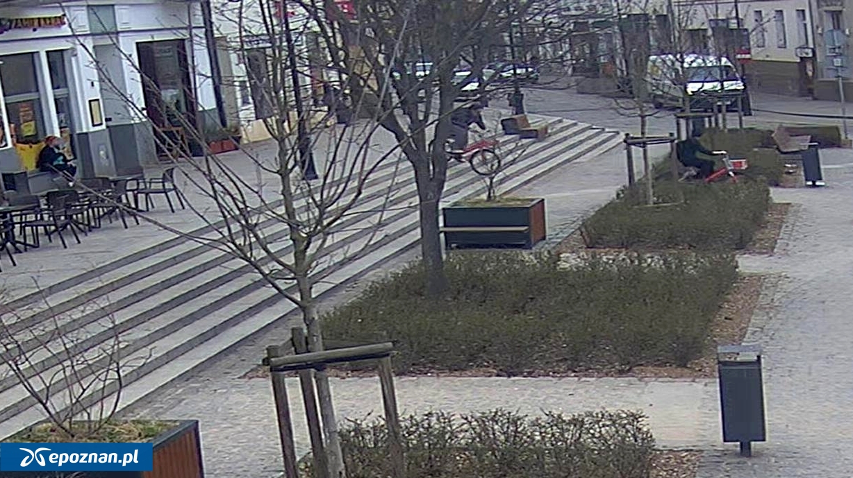 fot. Straż Miejska Gniezno