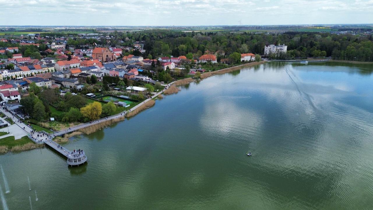 Wyjątkowa aleja powstanie na popularnej promenadzie. W podpoznańskiej miejscowości poczujemy się jak w Japonii