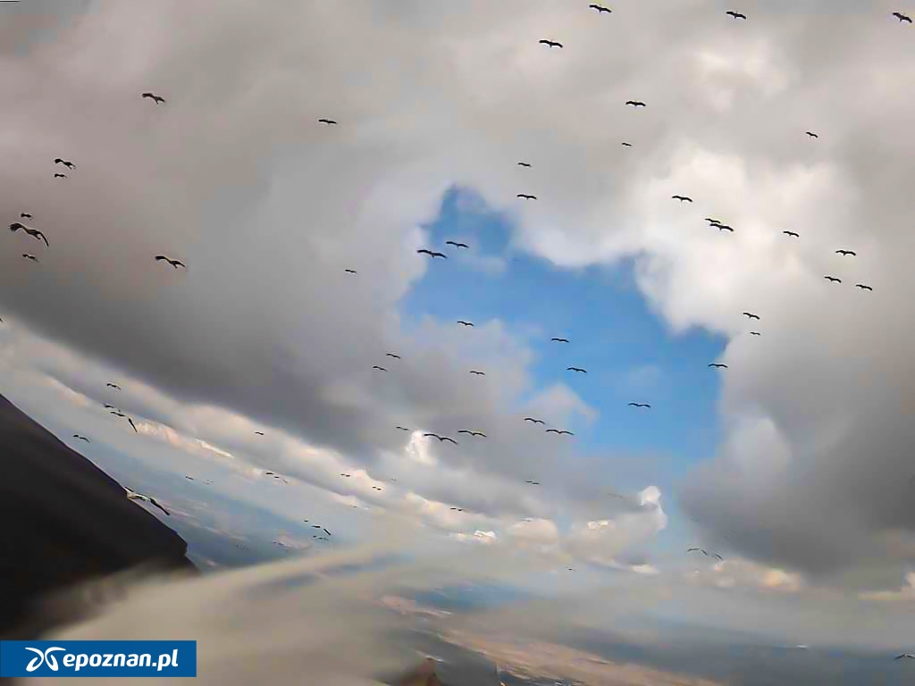 fot. Uniwersytet Przyrodniczy w Poznaniu