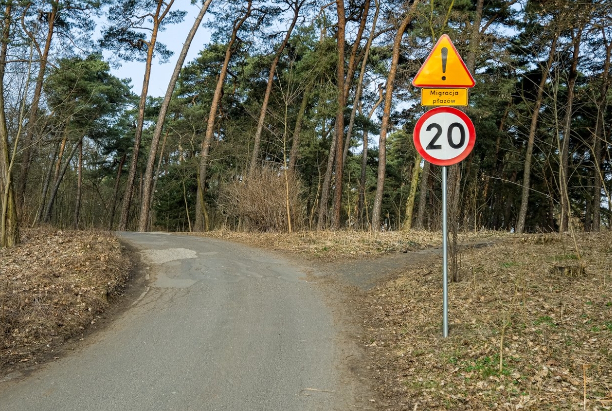 Czasowo zamkną niektóre ulice w Poznaniu. Powód może zaskoczyć