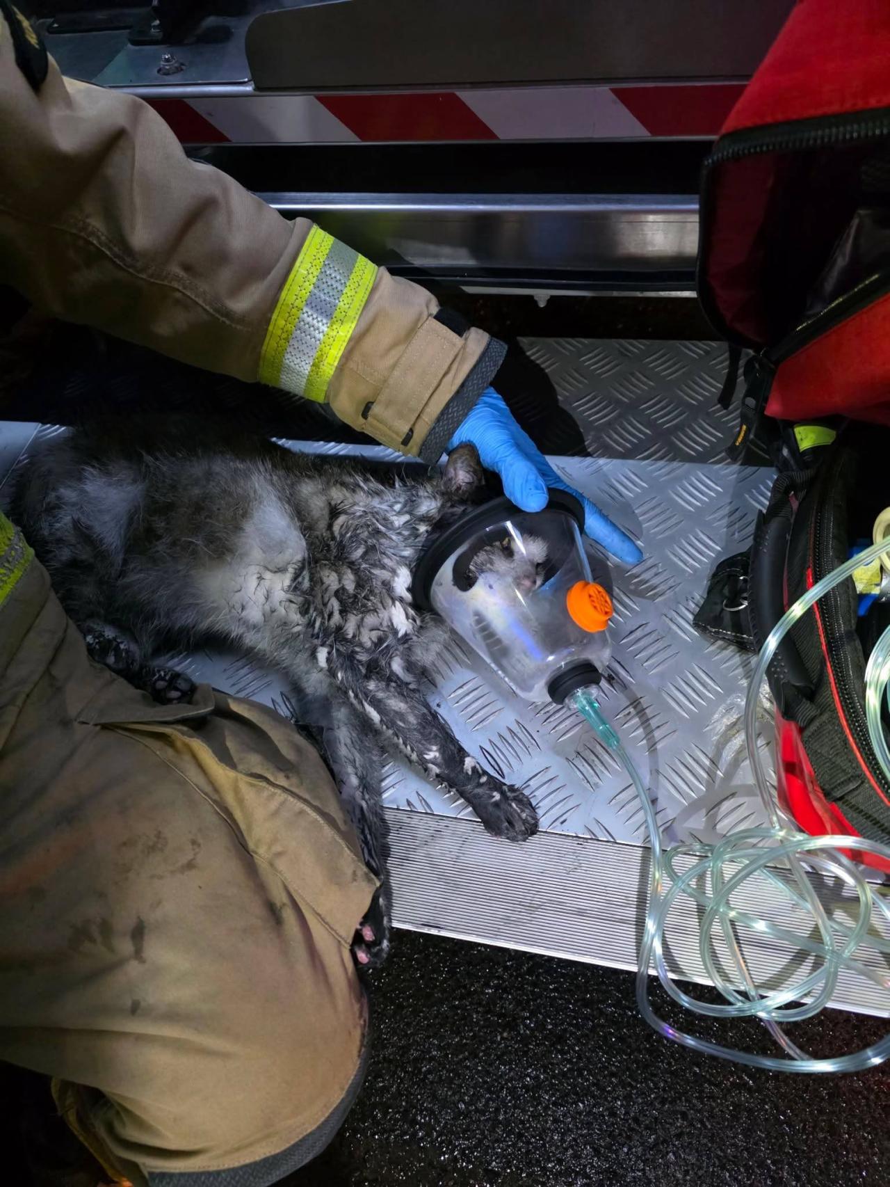 Nocny pożar i ewakuacja wielorodzinnego budynku w regionie. Jedna osoba trafiła do szpitala