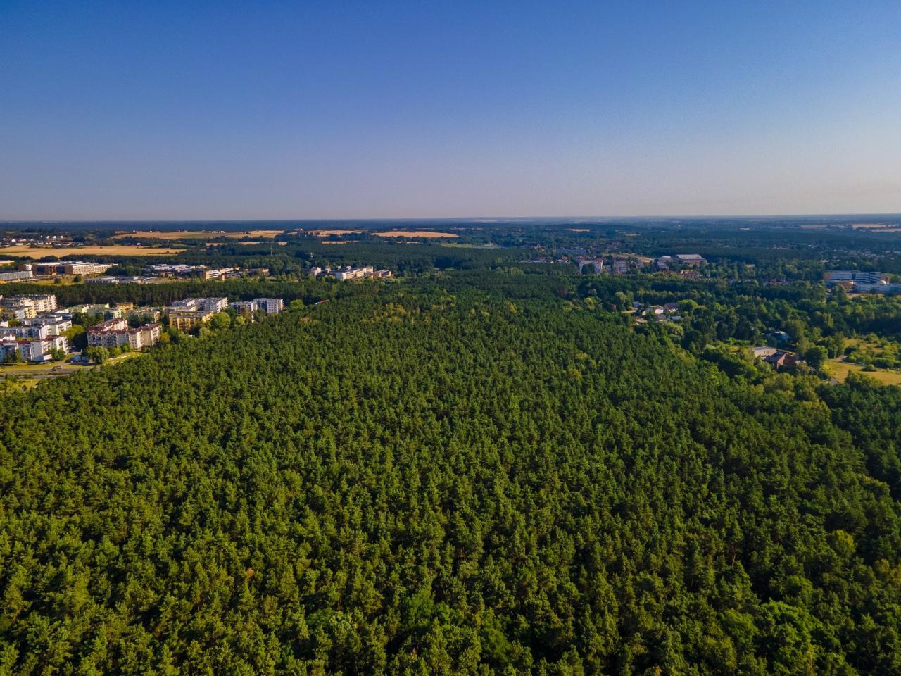 Trwają konsultacje. Poznaniacy będą mieli wpływ na istotny dokument