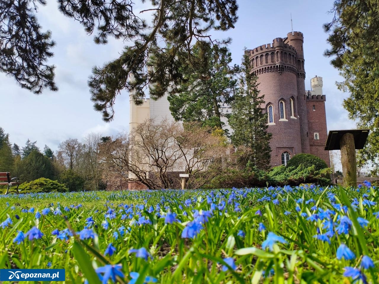 fot. Arboretum Kórnickie / FB
