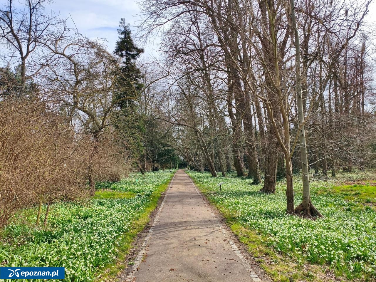 fot. Arboretum Kórnickie / FB