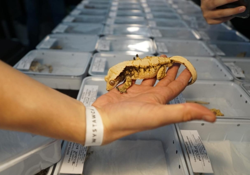 archiwum | fot. Maciej Kopiński