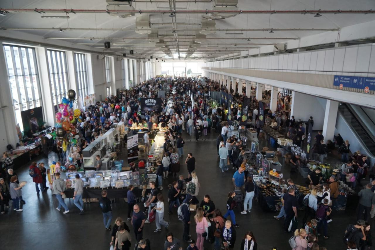 Niezwykli goście pojawili się na MTP. Znów mogą budzić ogromne zainteresowanie