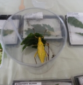 archiwum | fot. Maciej Kopiński