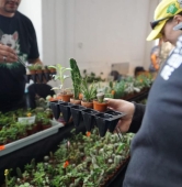 archiwum | fot. Maciej Kopiński