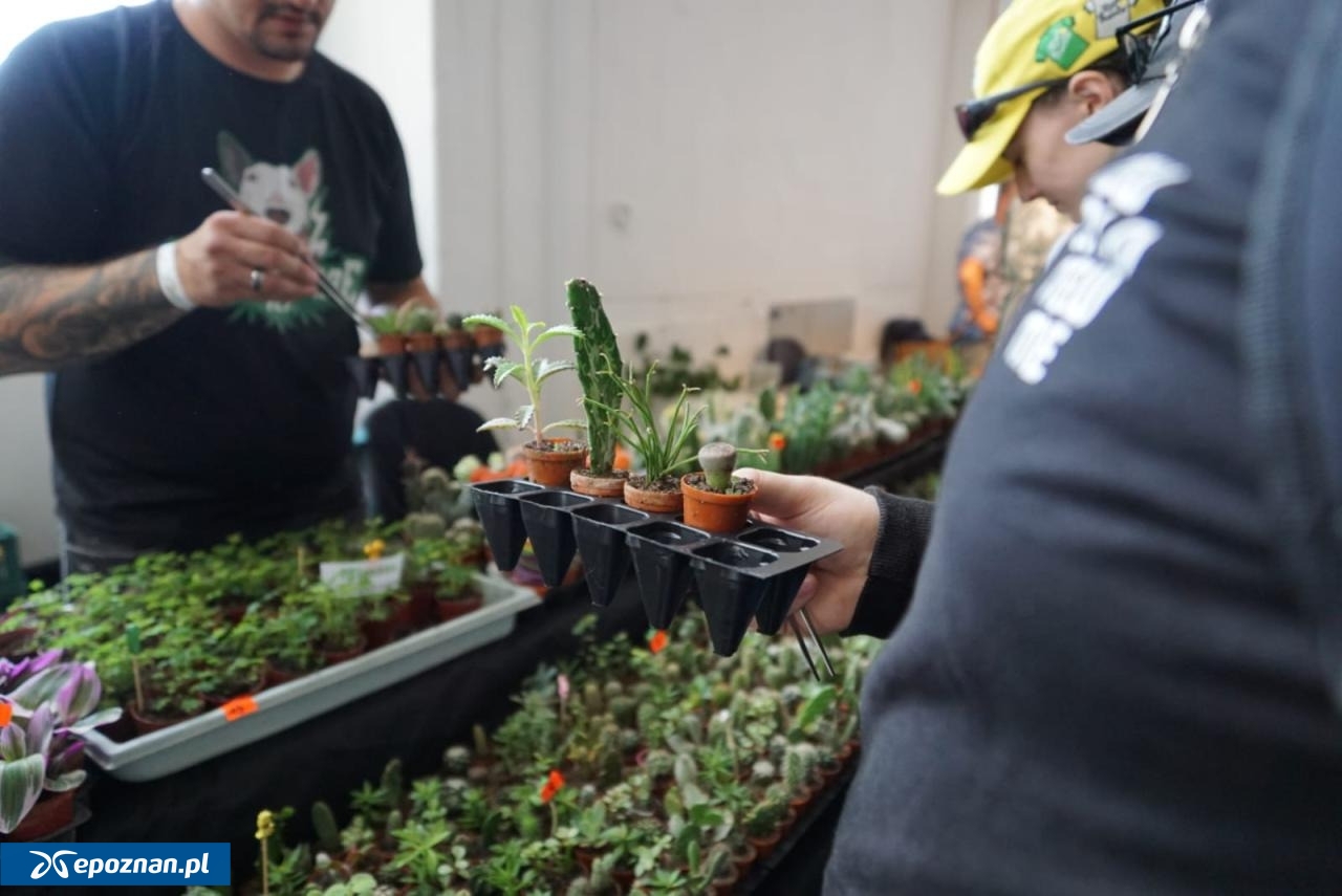 archiwum | fot. Maciej Kopiński