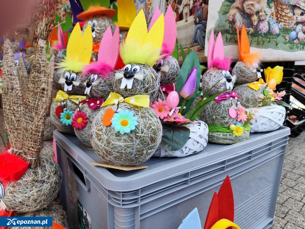 fot. Maciej Kopiński