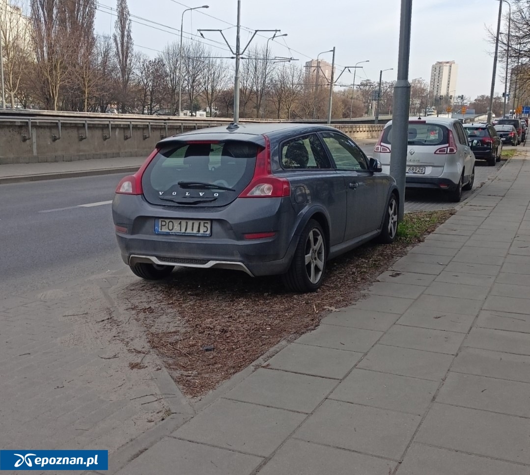 fot. Straż Miejska Miasta Poznania