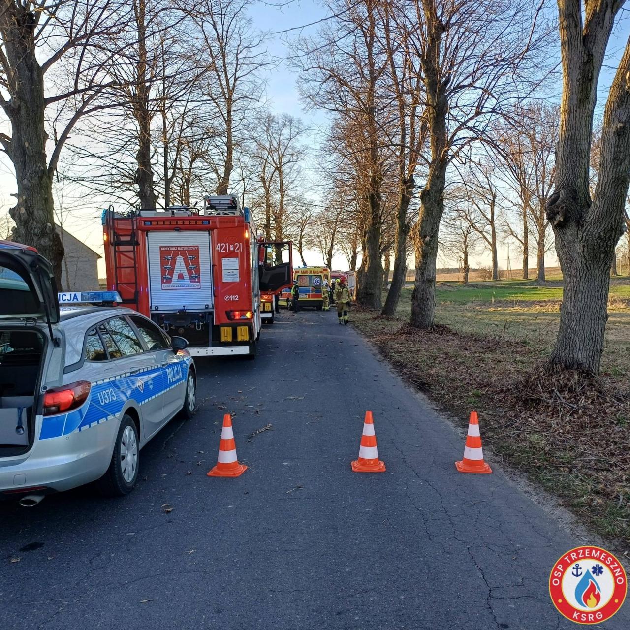 Poważny wypadek w regionie. Samochód uderzył w drzewo. Pięć osób poszkodowanych. Lądowały dwa śmigłowce LPR