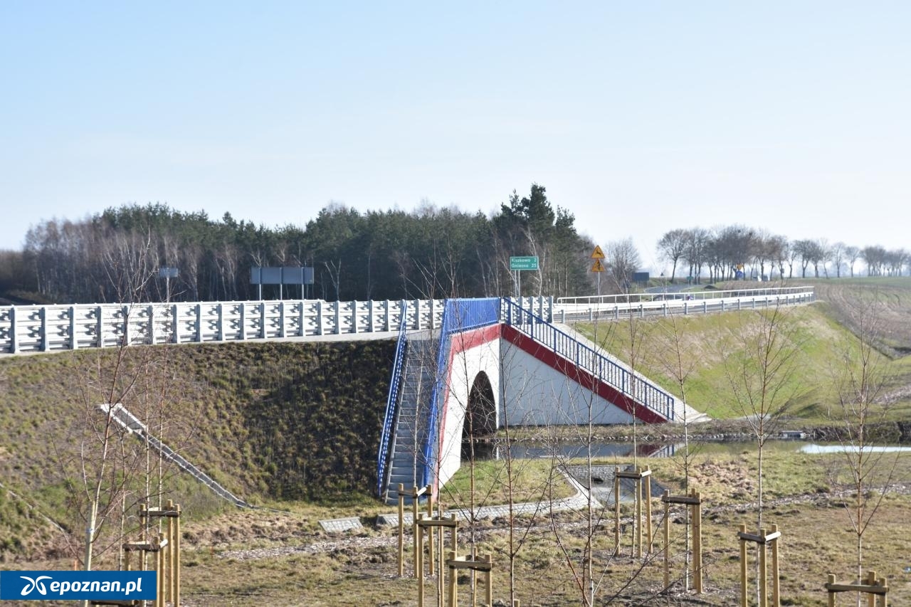 fot. Wielkopolski Zarząd Dróg Wojewódzkich w Poznaniu / FB