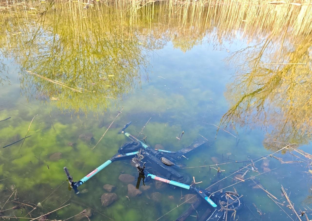 Hulajnogi na aplikację w wodzie na terenie użytku ekologicznego "Traszki Ratajskie"